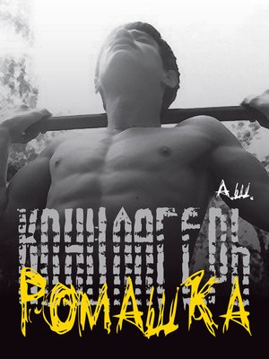 cover image of Концлагерь «Ромашка»